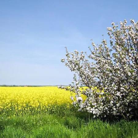 펜션 Boche By Interhome Goos